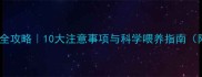 拉布拉多饲养全攻略10大注意事项与科学喂养指南附健康食谱