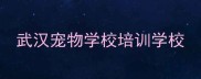 武汉宠物学校培训学校