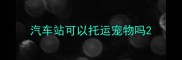 汽车站可以托运宠物吗