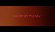 小狗要打四次疫苗吗
