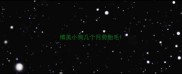 博美小狗几个月剪胎毛