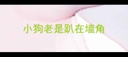 小狗老是趴在墙角