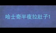 哈士奇半夜拉肚子