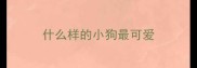 什么样的小狗最可爱