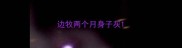 边牧两个月身子灰