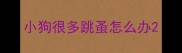 小狗很多跳蚤怎么办