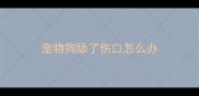 宠物狗舔了伤口怎么办