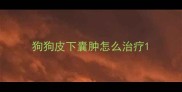 狗狗皮下囊肿怎么治疗