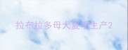 拉布拉多母犬夏季生产