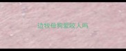 边牧母狗爱咬人吗