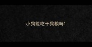 小狗能吃干狗粮吗