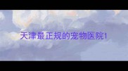 天津最正规的宠物医院