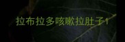 拉布拉多咳嗽拉肚子