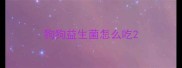 狗狗益生菌怎么吃