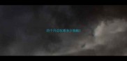 四个月边牧喂多少狗粮