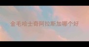 金毛哈士奇阿拉斯加哪个好