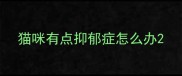 猫咪有点抑郁症怎么办