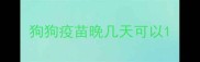 狗狗疫苗晚几天可以