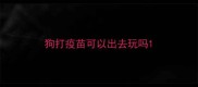 狗打疫苗可以出去玩吗