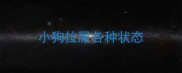 小狗拉屎各种状态