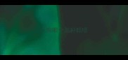 小狗哪个品种聪明