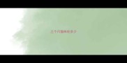 三个月猫咪吃多少
