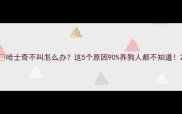 哈士奇不叫怎么办这5个原因90养狗人都不知道