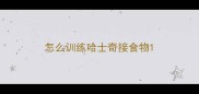 怎么训练哈士奇接食物