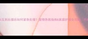 小狗被车压到后腿后如何紧急处理宠物急救指南家庭护理全攻略附真实案例
