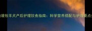 边境牧羊犬产后护理饮食指南科学营养搭配与护理要点全