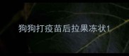 狗狗打疫苗后拉果冻状