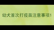 幼犬首次打疫苗注意事项