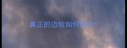 真正的边牧如何区分