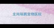 龙岗瑞鹏宠物医院