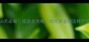 斗牛犬60天必看疫苗全攻略幼犬黄金期这样打疫苗更健康