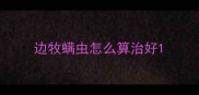 边牧螨虫怎么算治好