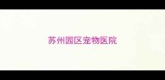 苏州园区宠物医院