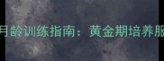 拉布拉多幼犬2-6月龄训练指南黄金期培养服从性的科学方法