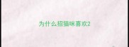 为什么招猫咪喜欢