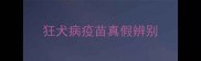 狂犬病疫苗真假辨别