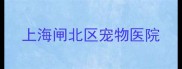 上海闸北区宠物医院