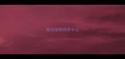 滁州宠物领养中心