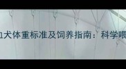 成年拉布拉多混血犬体重标准及饲养指南科学喂养与健康管理全