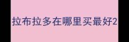 拉布拉多在哪里买最好