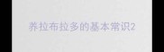 养拉布拉多的基本常识