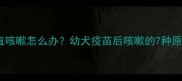 小狗打完疫苗后一直咳嗽怎么办幼犬疫苗后咳嗽的7种原因和科学应对指南