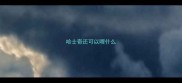 哈士奇还可以喂什么