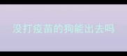没打疫苗的狗能出去吗
