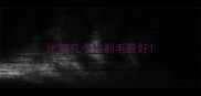 比熊几个月剃毛最好