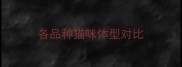 各品种猫咪体型对比